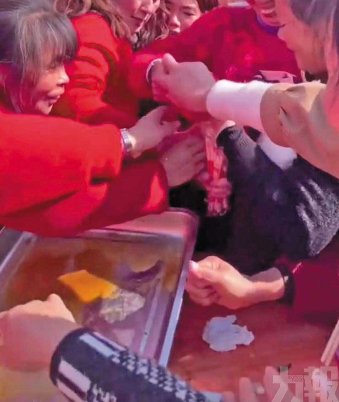 殺豬宴變「喪屍搶食」