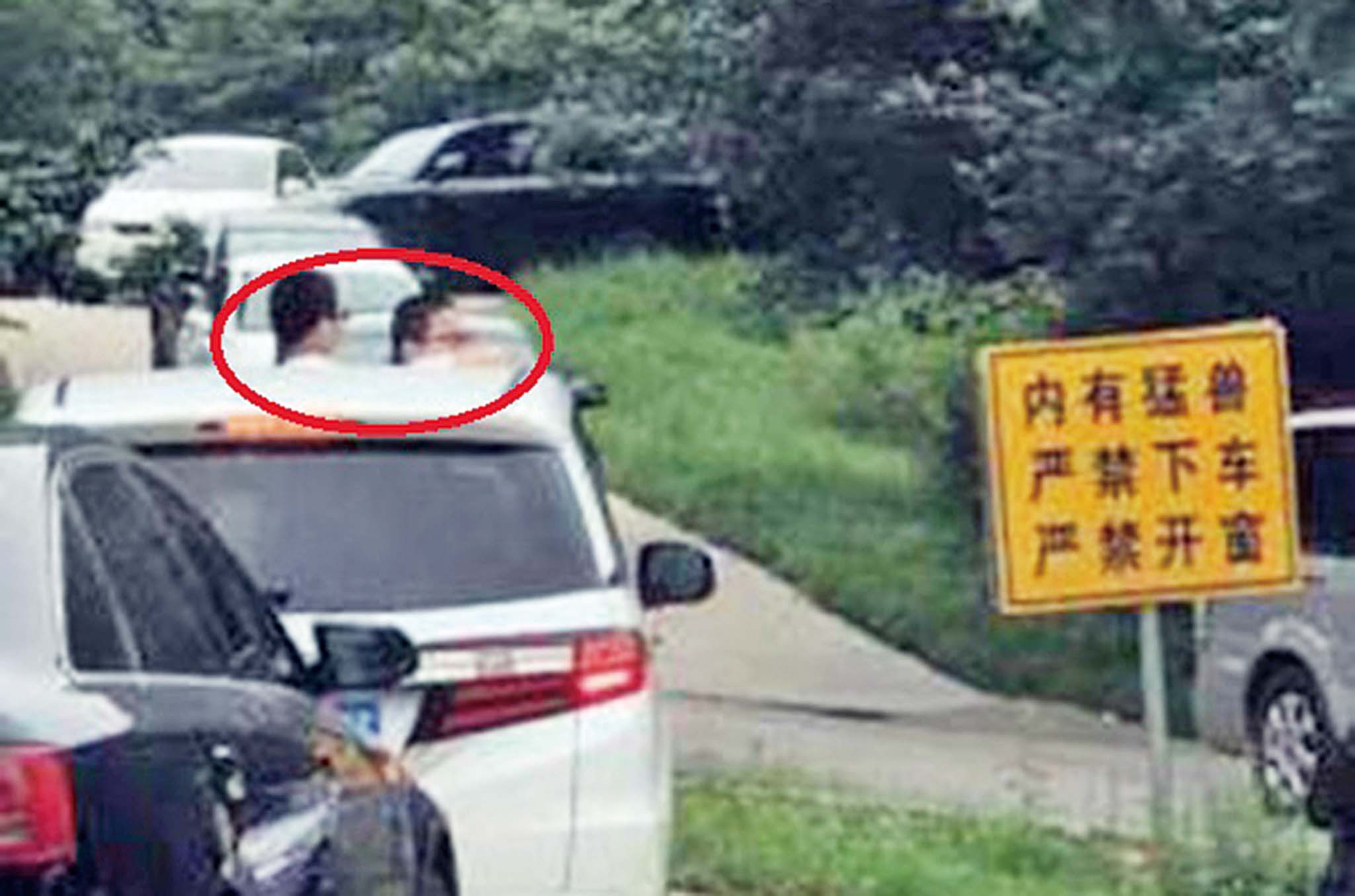 猛獸區開窗探頭