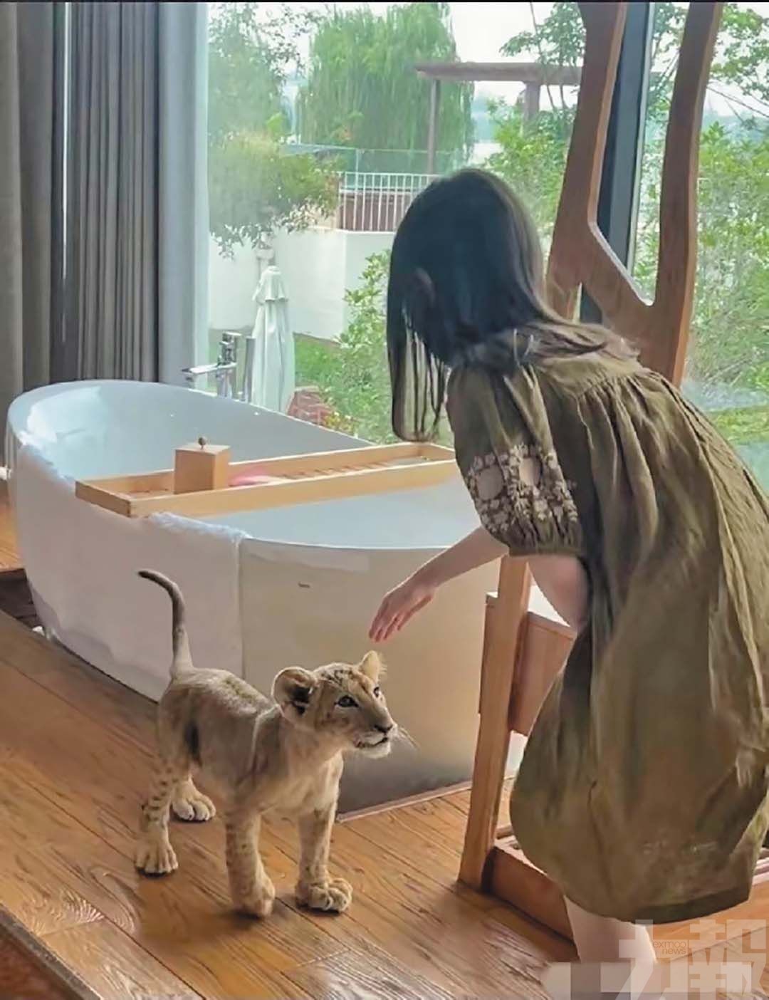 江蘇宿遷度假區推「幼獅叫醒服務」