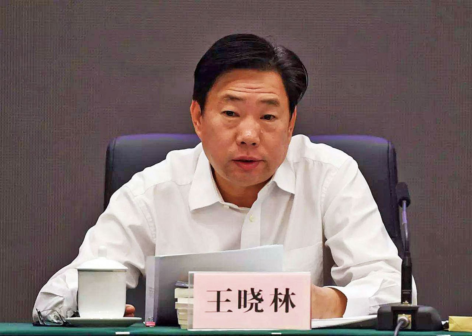 國家能源局長王曉林落馬