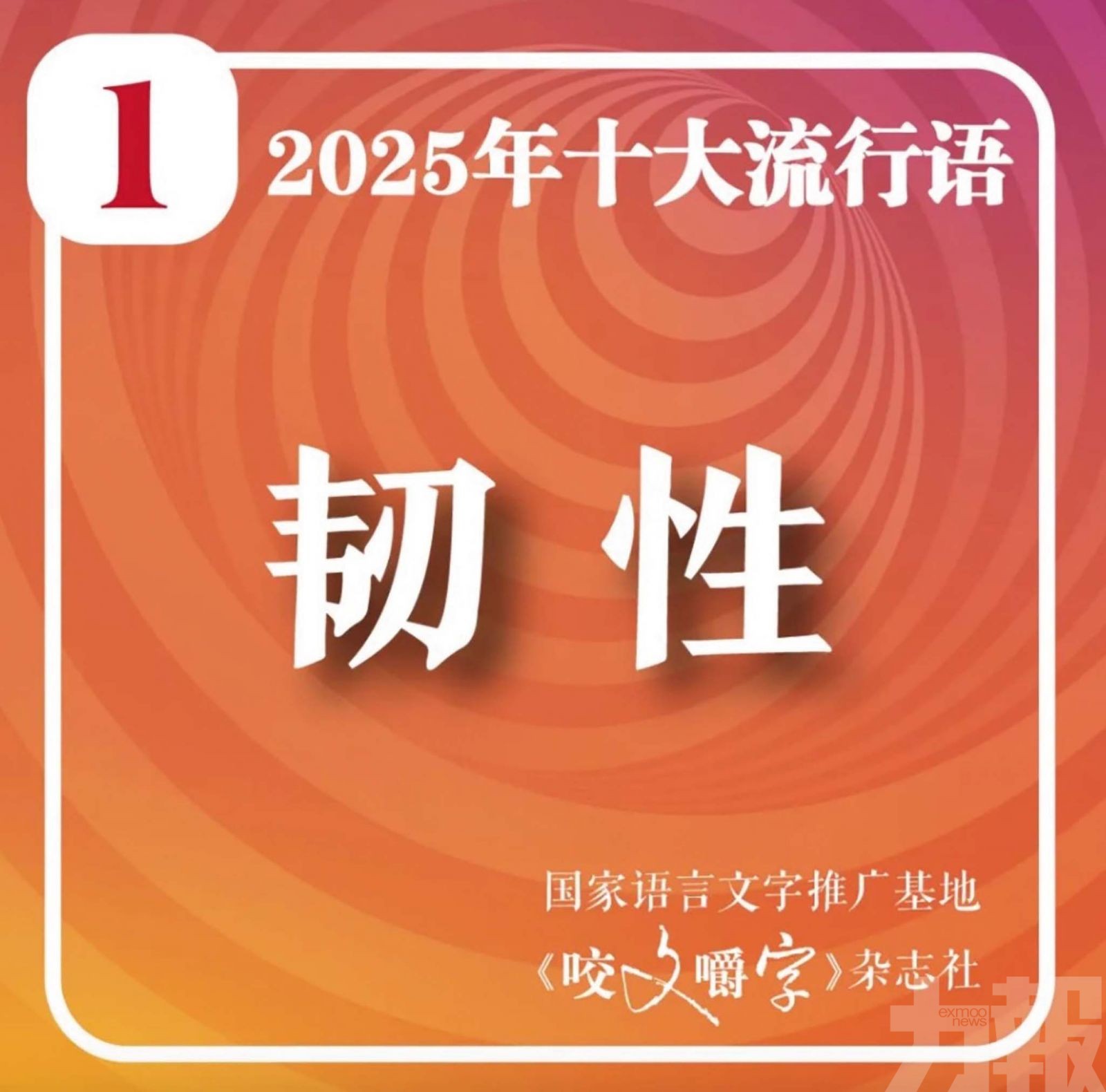 內地2025年十大流行語