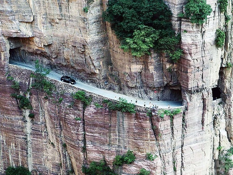 河南近百山羊集體跳崖慘死