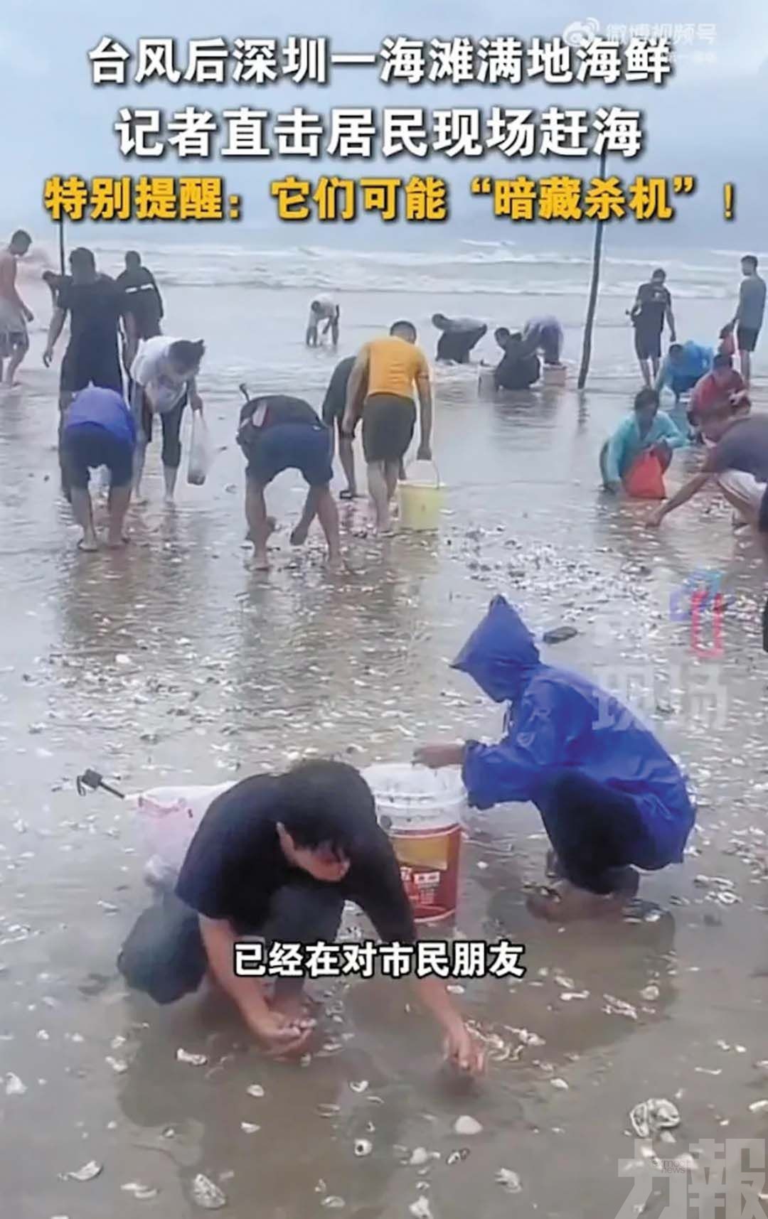 颱風「韋帕」吹來一地海鮮