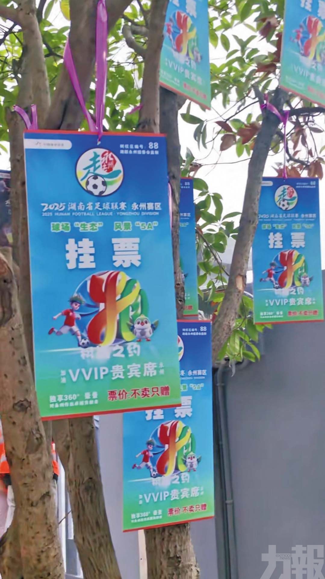 湘超聯賽推「樹上掛票」