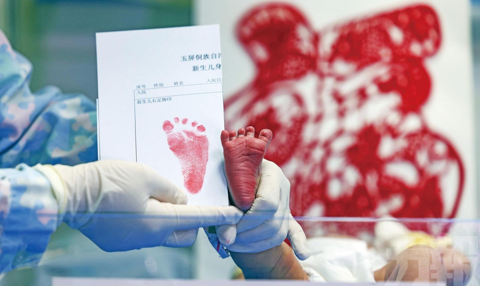 龍B效益？