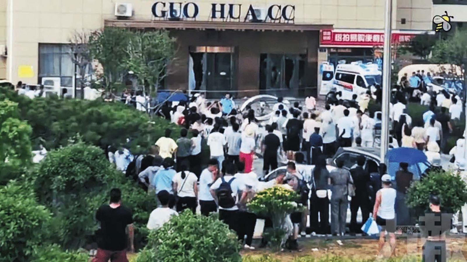 山東「樹拍易購」爆雷