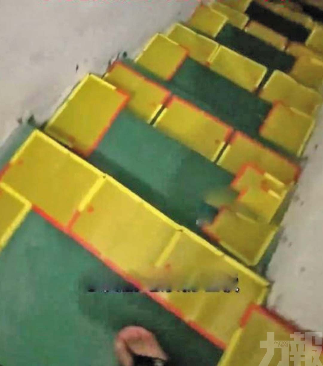 東莞男子鋪百張黏鼠板封樓梯