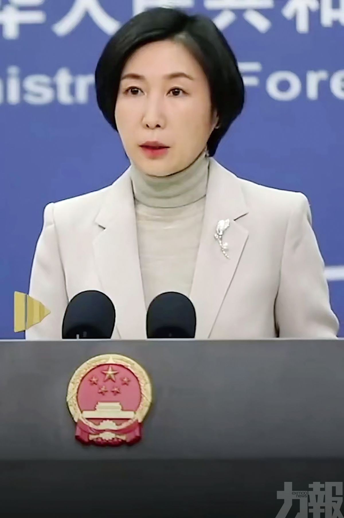 回應馬斯克涉台言論