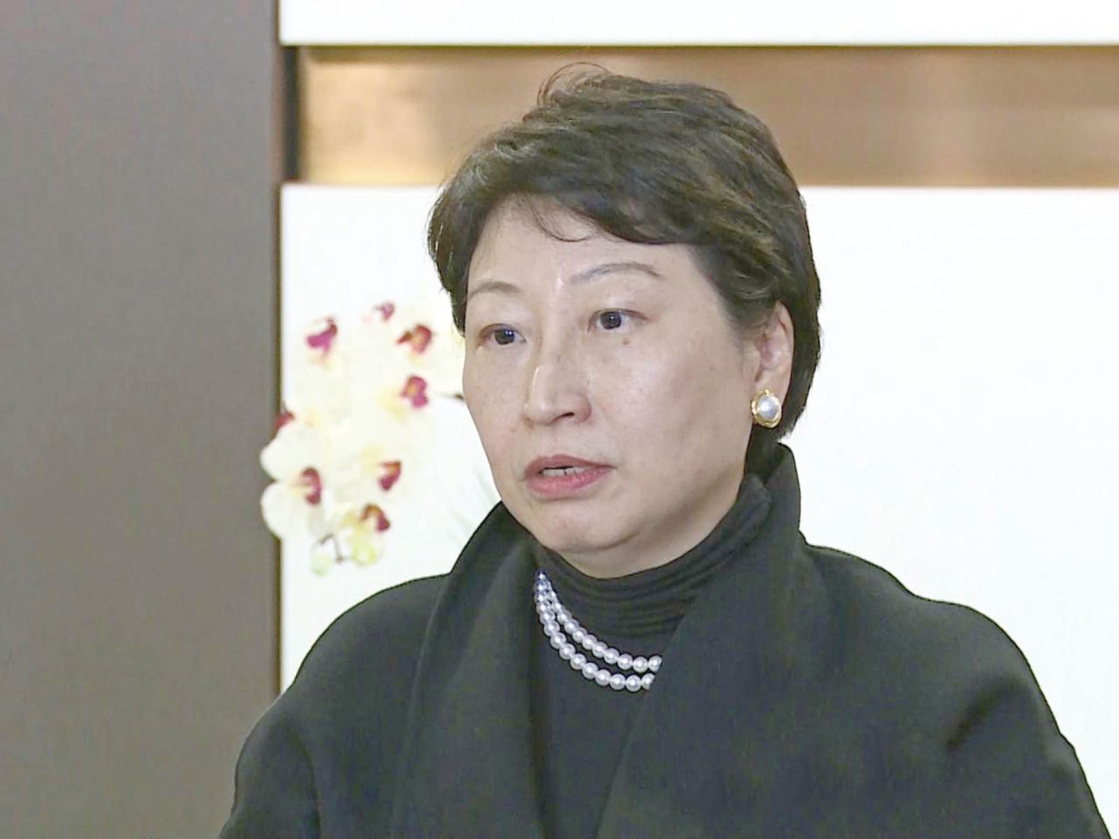 港高官大宅疑涉僭建