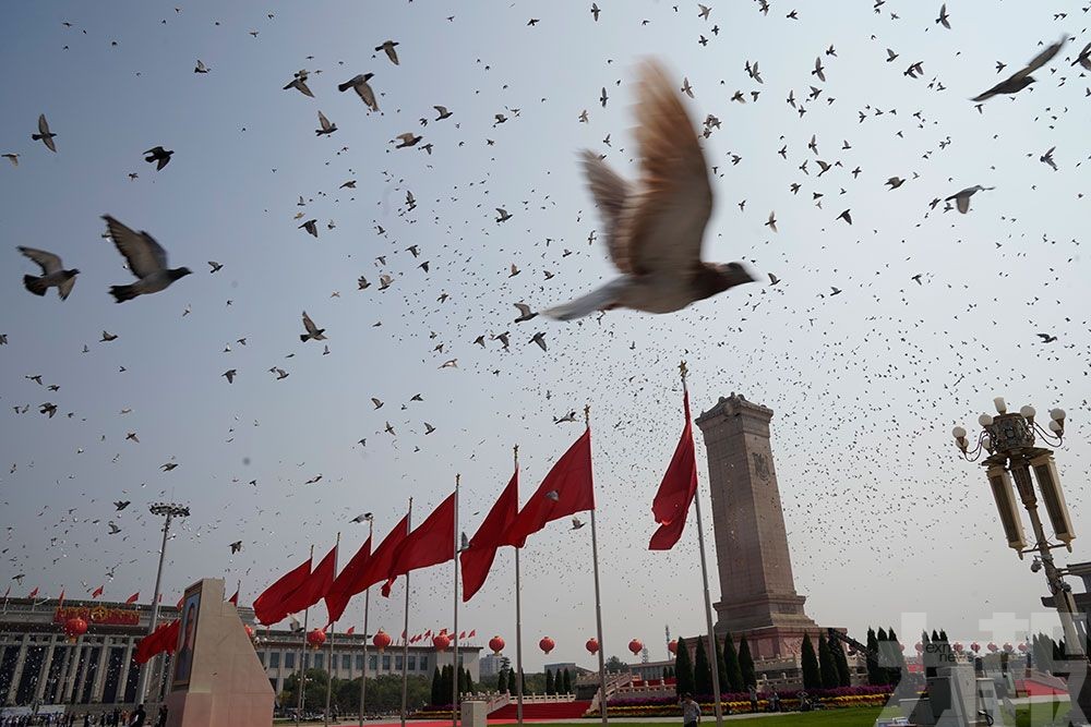 七萬和平鴿來自尋常百姓家