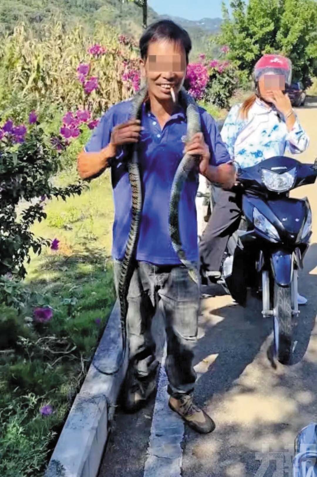 眼鏡王蛇當無毒蛇把玩