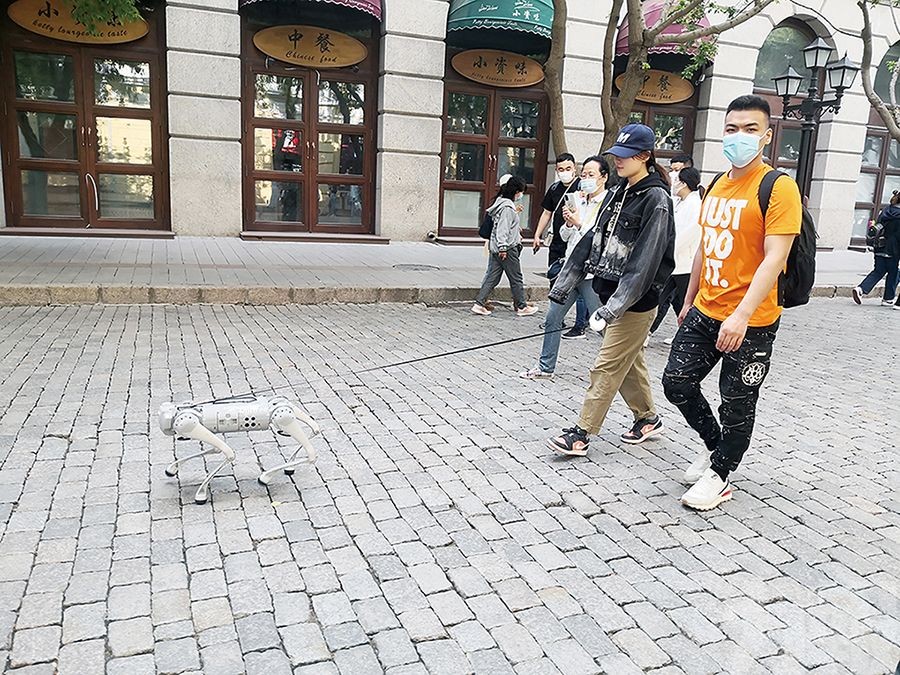 內地興起上街放「機械狗」