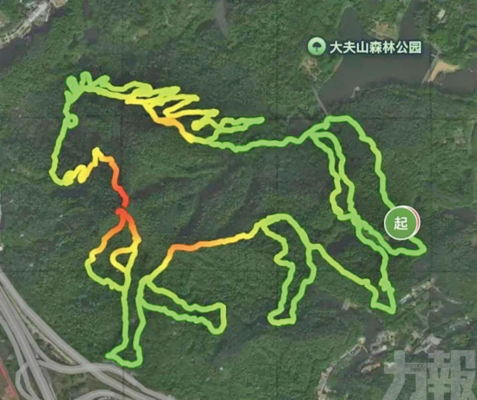 廣州萬人進山「畫馬」引亂象