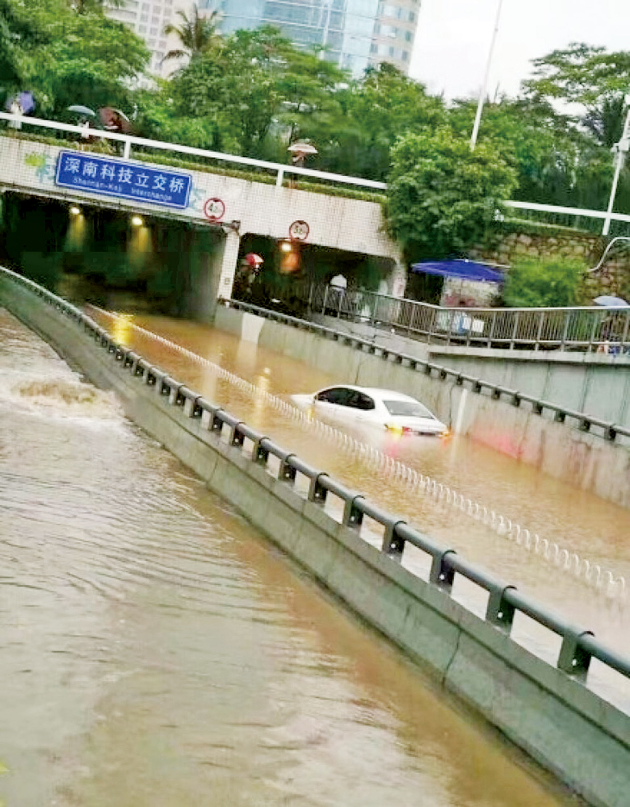 「苗柏」暴雨登陸深圳