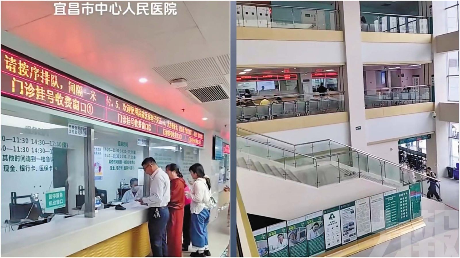 湖北女大生輸液頭孢過敏