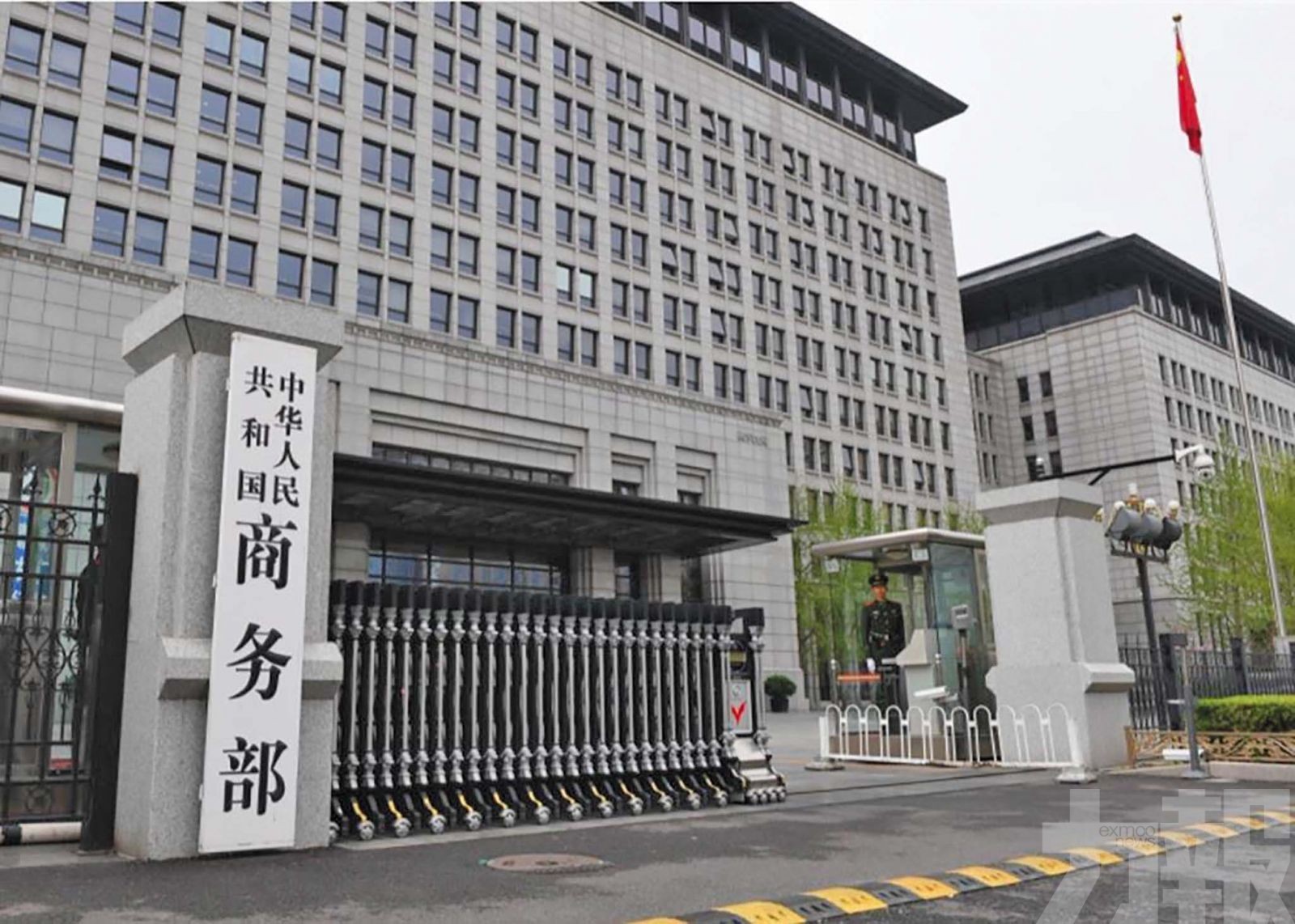 中國初裁加拿大油菜籽存在傾銷