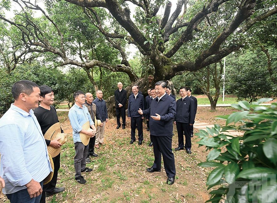 習近平考察廣東茂名及湛江