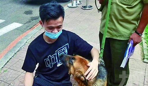 刑警學院拍賣54隻淘汰警犬