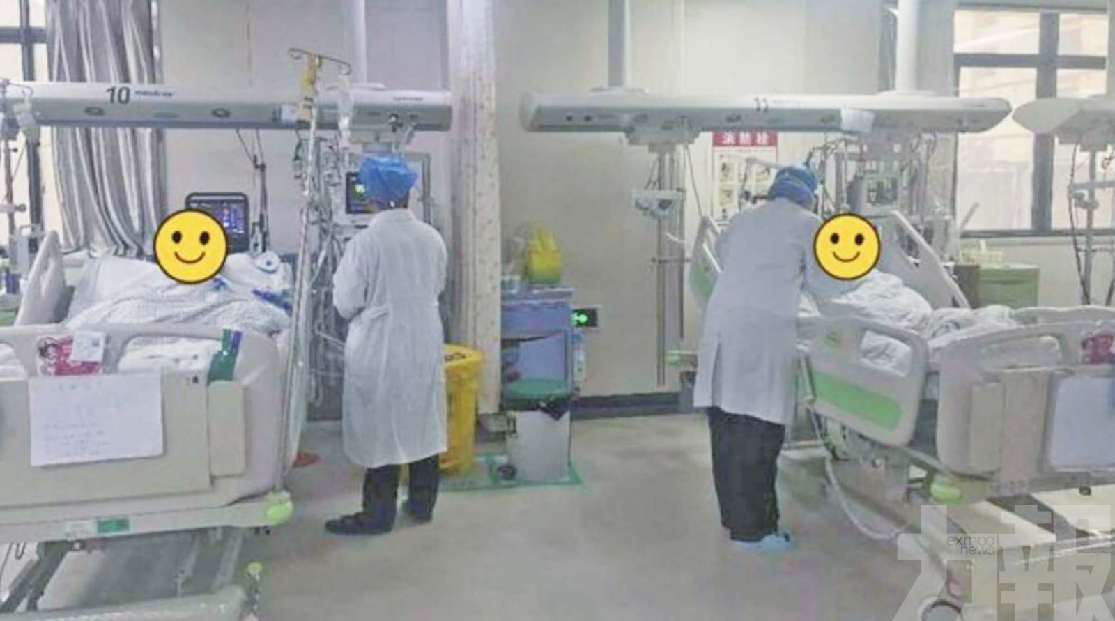 八旬夫婦樓梯養雞染「鸚鵡熱」