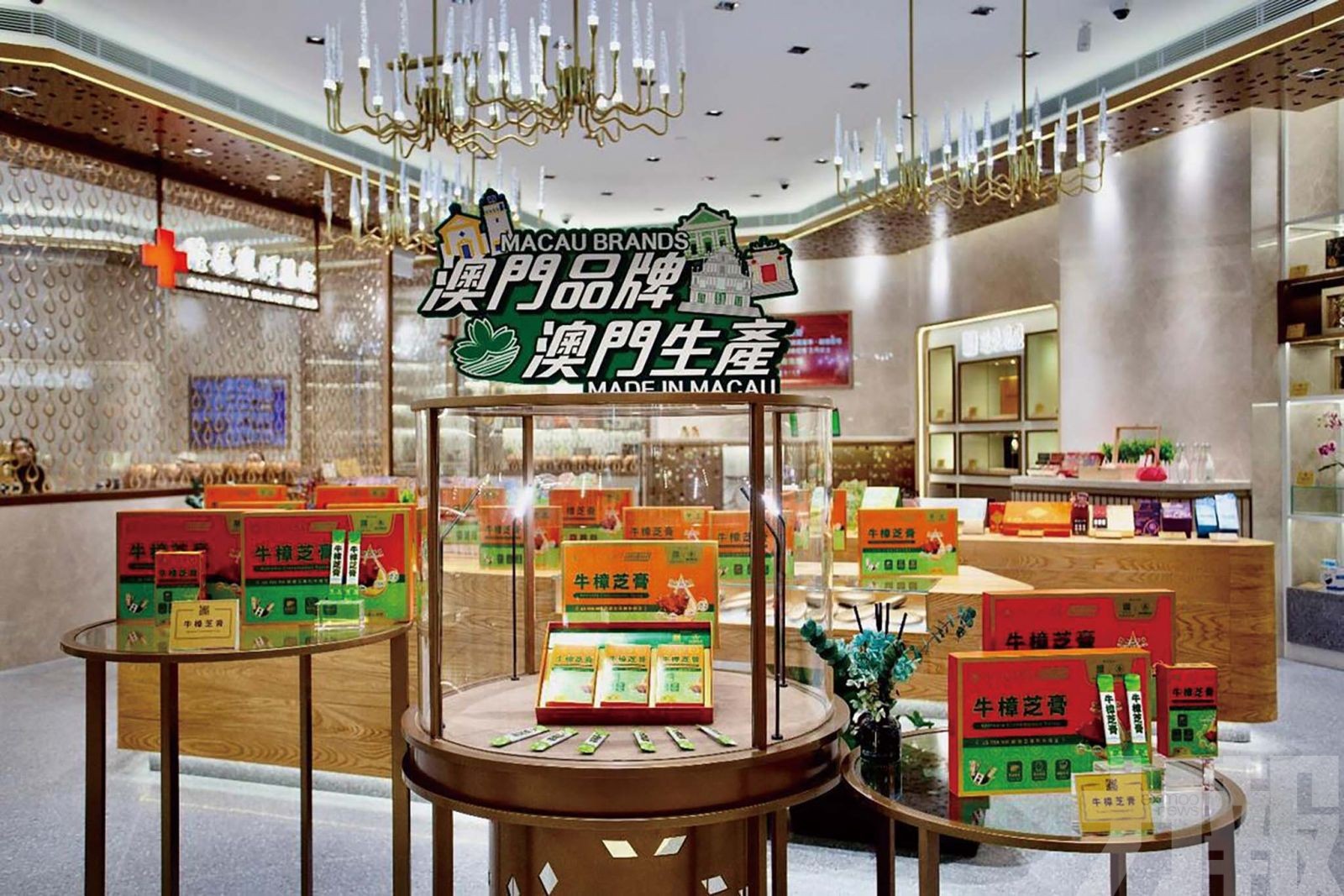 橫琴研發提取+澳門生產