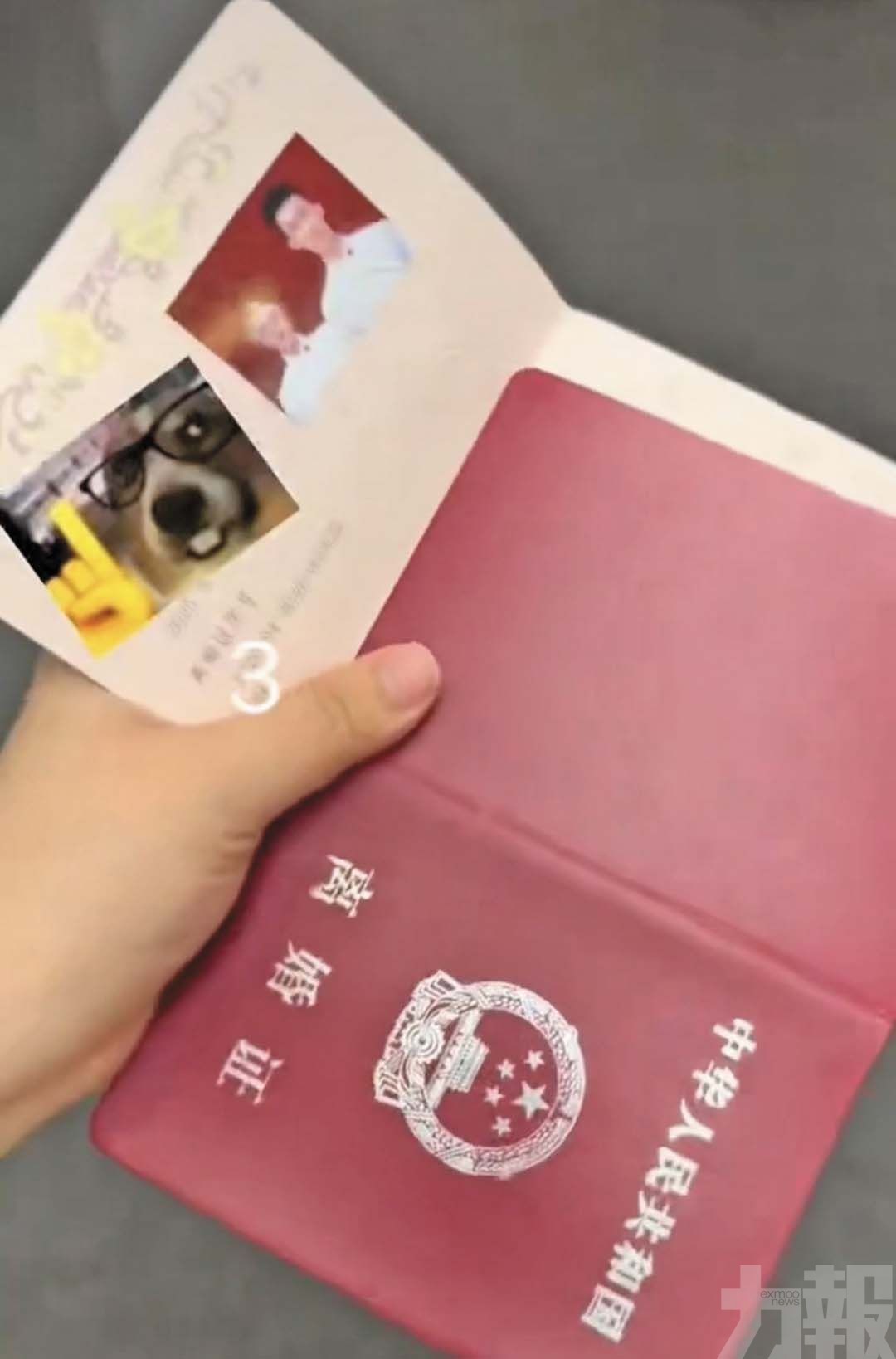吉林民政局擺烏龍