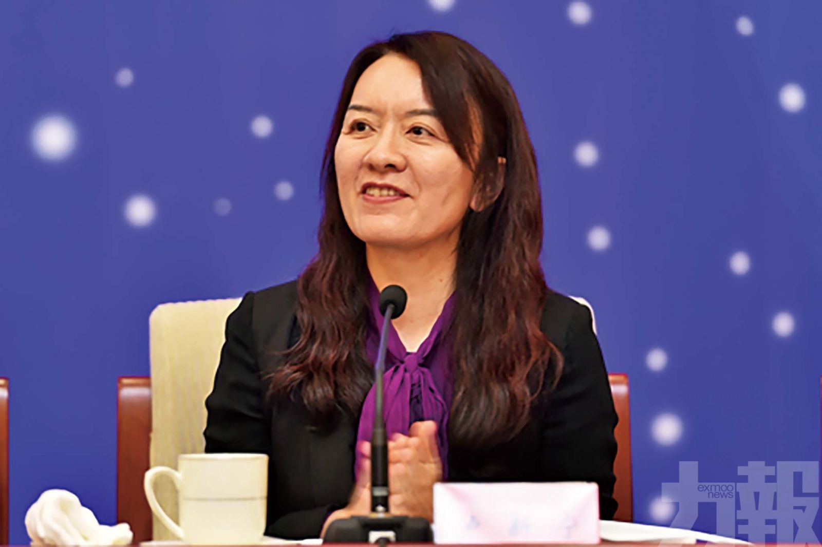 盧新寧任港中聯辦副主任