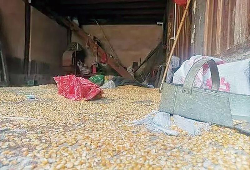 40餘天遷徙近500公里