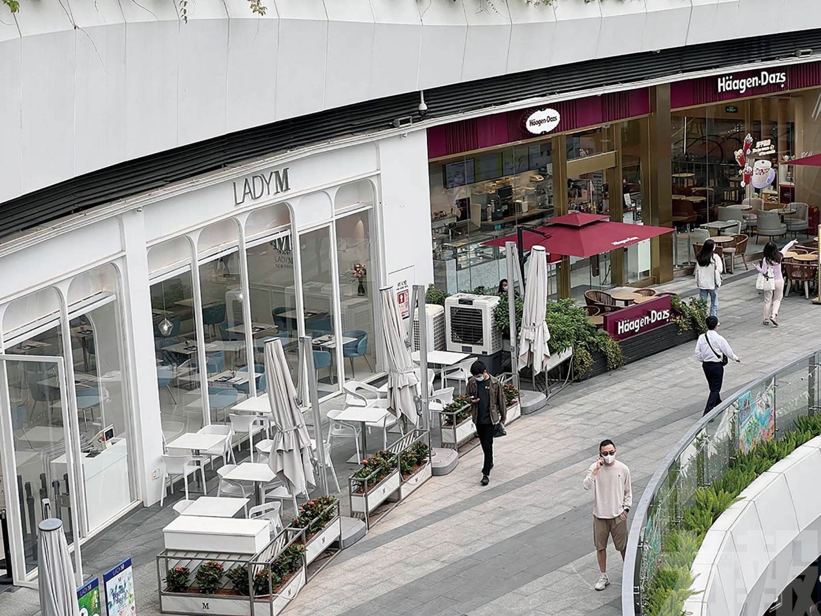 LADY M宣布關閉內地所有門店