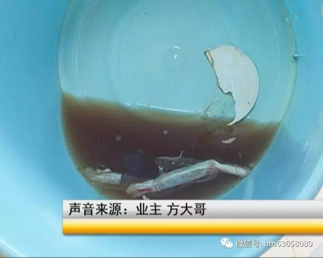 恐怖保姆私通男主
