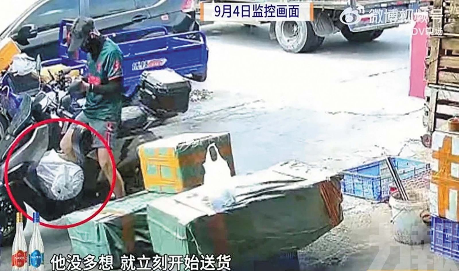 廣州騎手送鱷魚「半路復活」