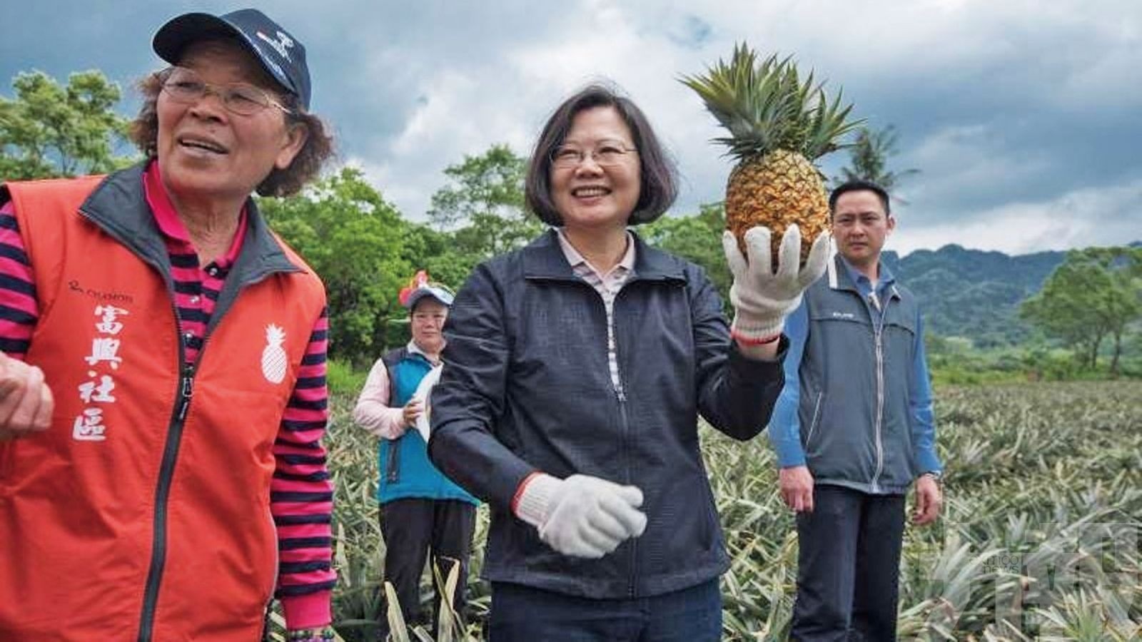 台灣民間踴躍搶購鳳梨