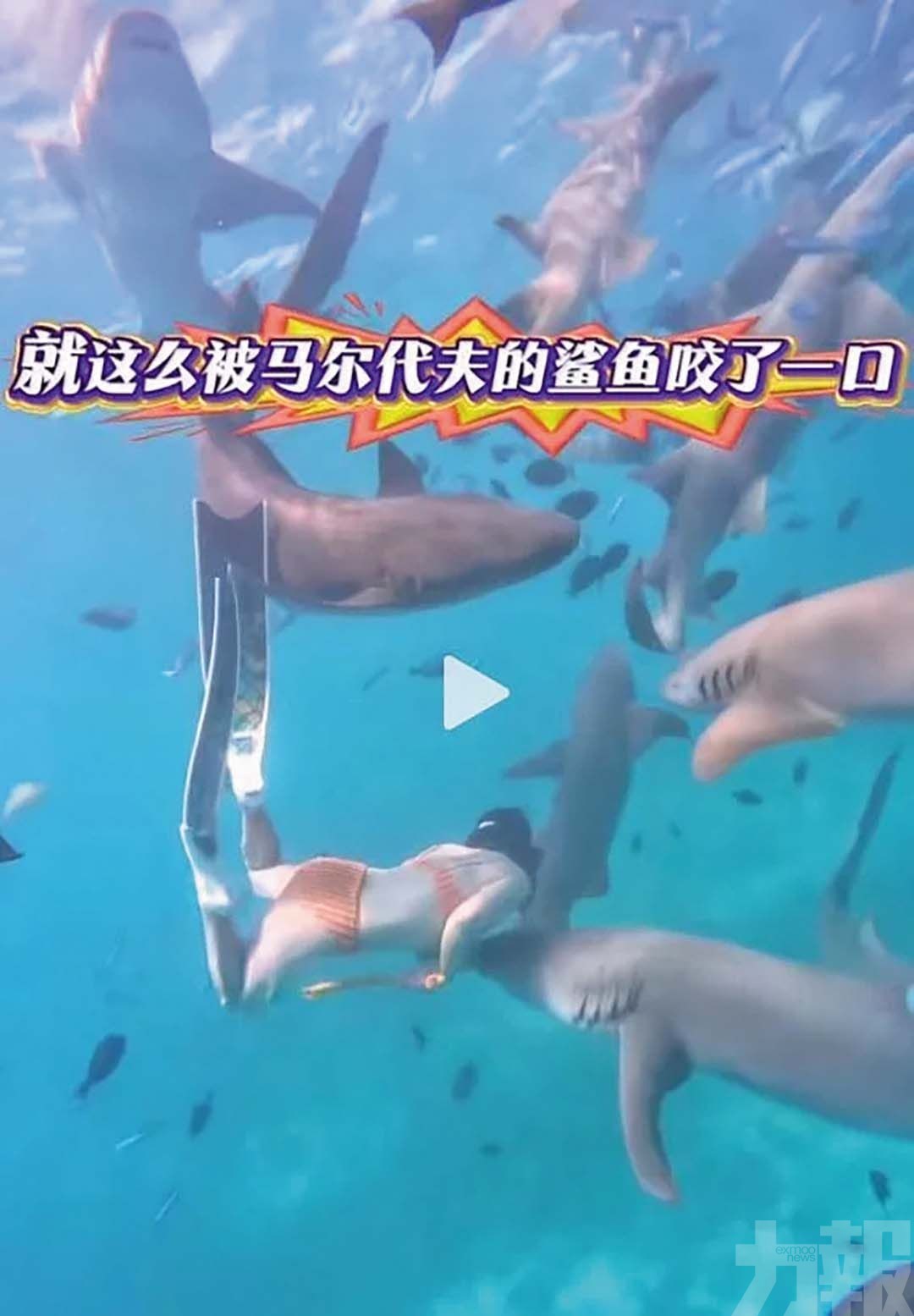 生理期出海潛水