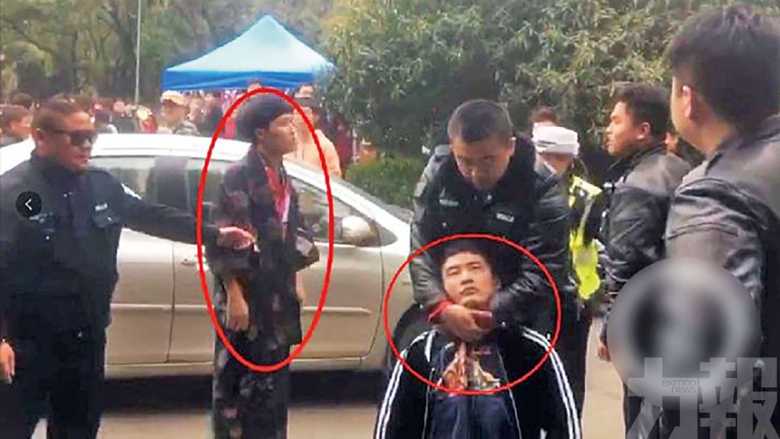 武大賞櫻被疑著和服