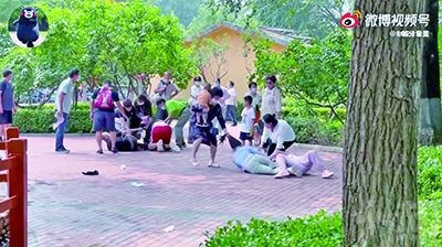 北京動物園發生遊客打架