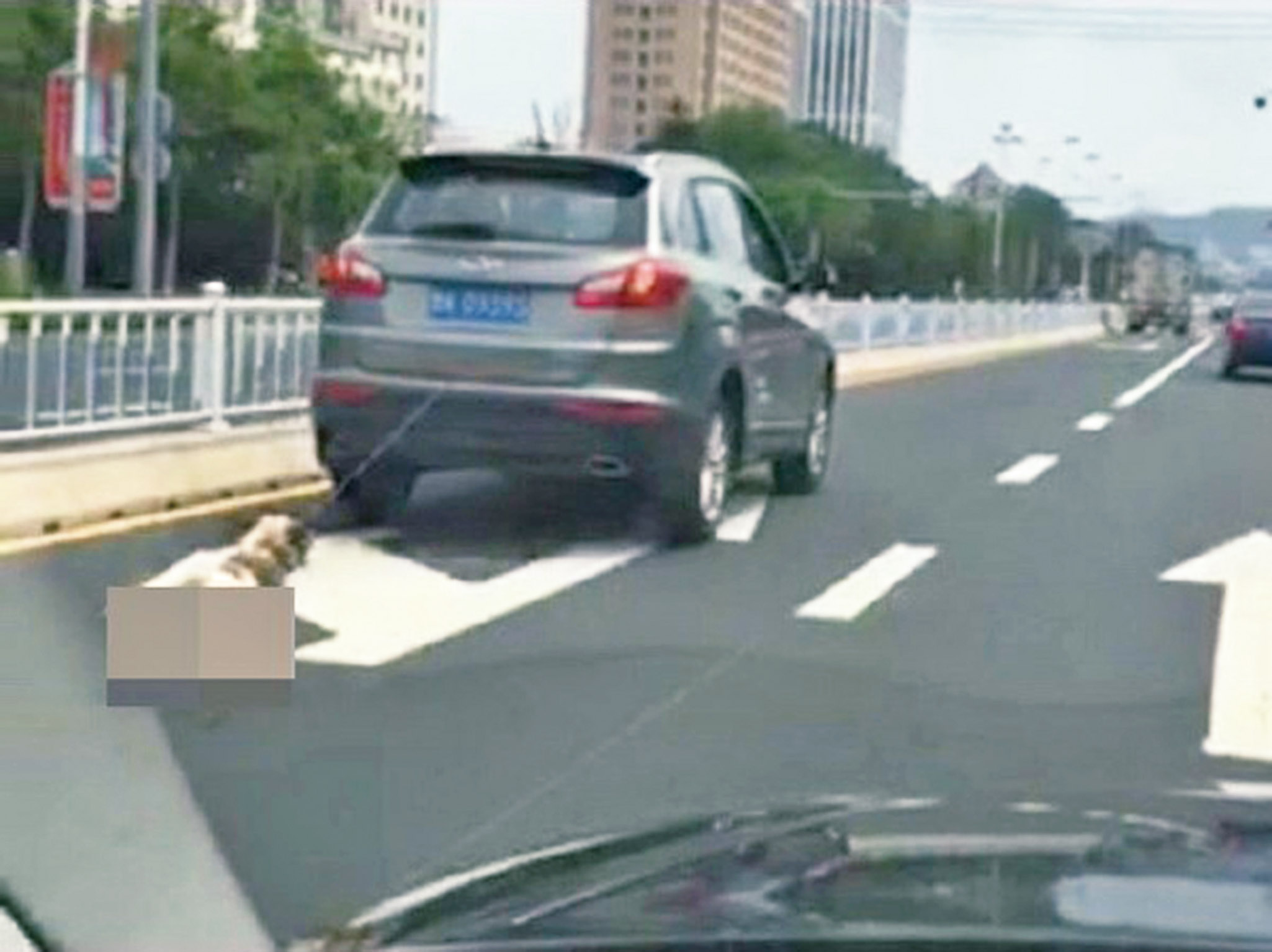 山東冷血男開車拖狗