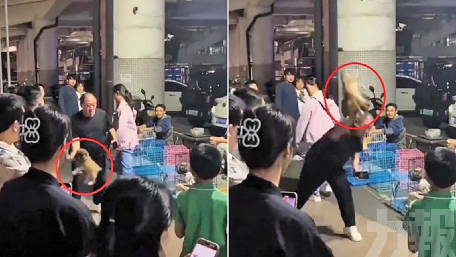 廣西男子寵物檔退款被拒