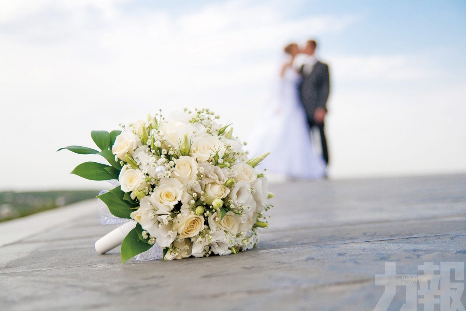 香港343對新人情人節結婚