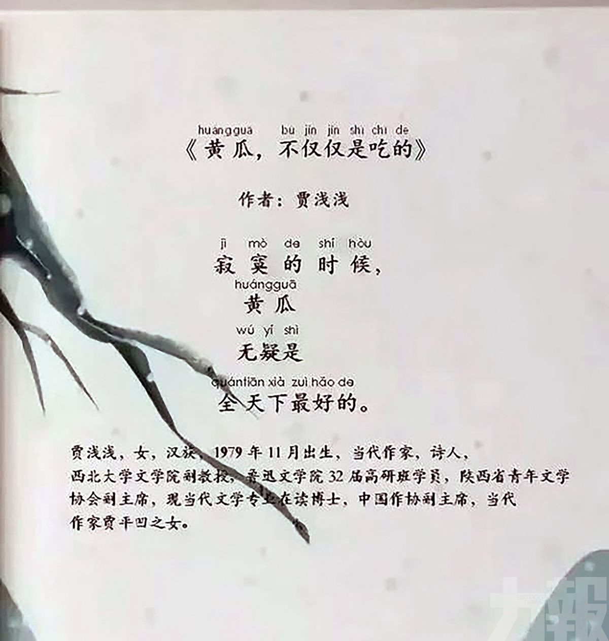 賈平凹之女賈淺淺闢謠：