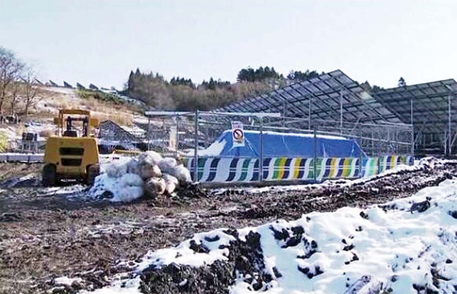 涉在北海道非法工作
