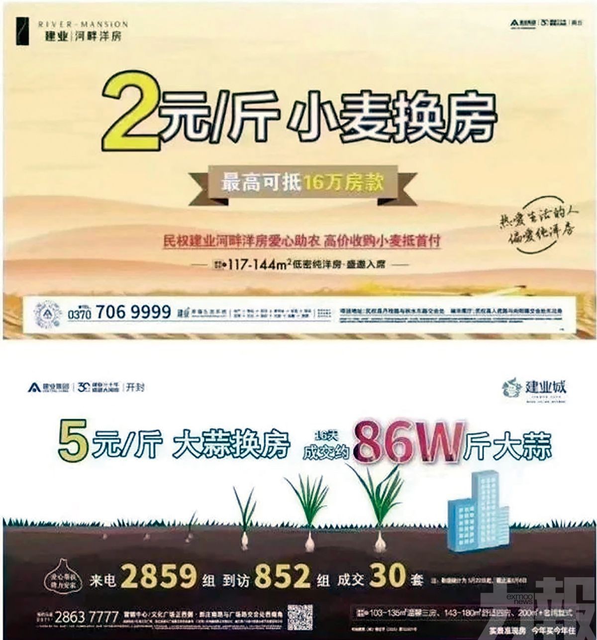 河南小麥大蒜能換房？